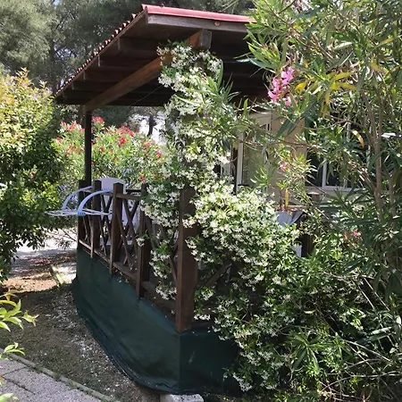 Village de vacances Media Mobile Homes In Brioni Sunny