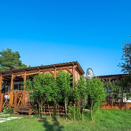 Media Mobile Homes In Brioni Sunny פארק נופש 2*