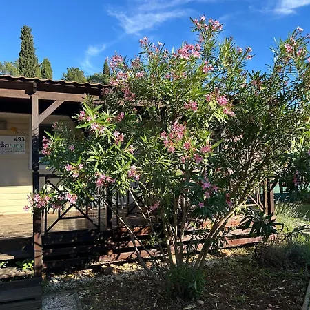 Üdülőpark Media Mobile Homes In Brioni Sunny