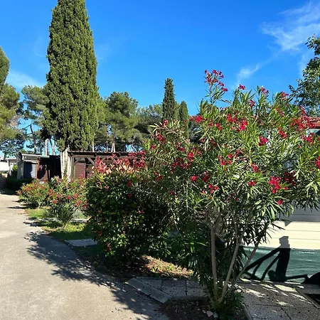 Media Mobile Homes In Brioni Sunny Üdülőpark