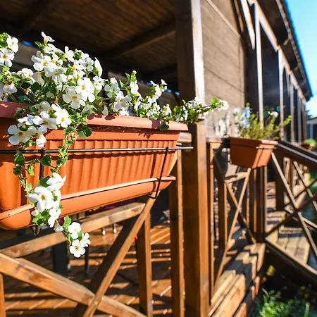 Üdülőpark Media Mobile Homes In Brioni Sunny 2*