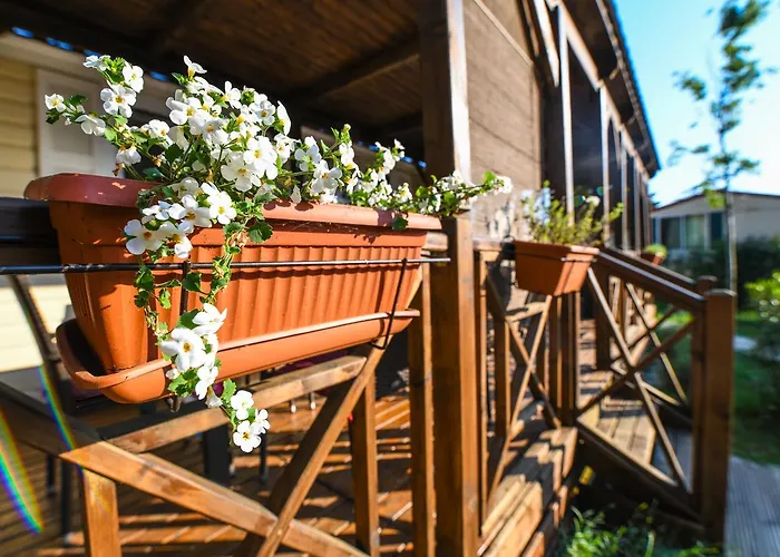 База отдыха Media Mobile Homes In Brioni Sunny 2*