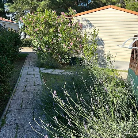 Media Mobile Homes In Brioni Sunny Tatil parkı 2*